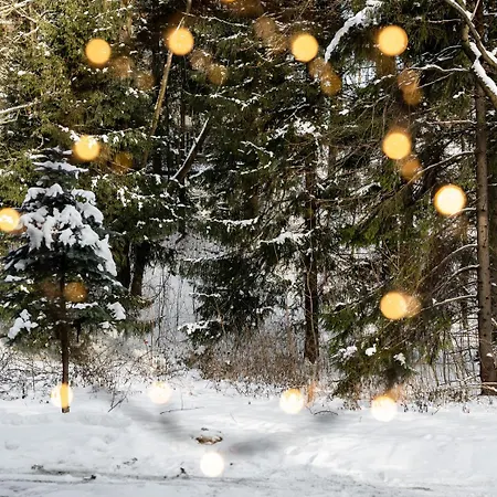 Zakohome- Skocznia *